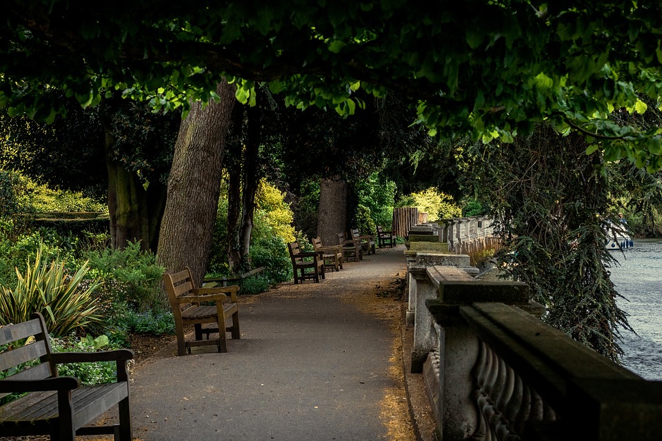 garden design