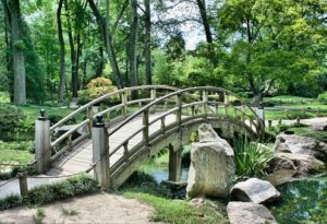 garden landscape