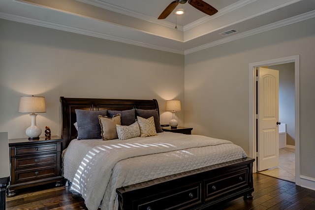pest-free bed room